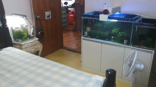 수진옷방 이미지