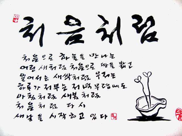 처음 이미지
