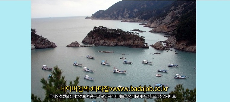 해남군수산업협동조합 이미지