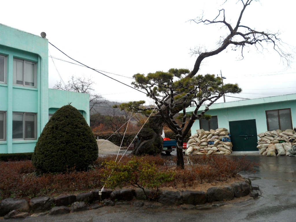 면사무소 이미지