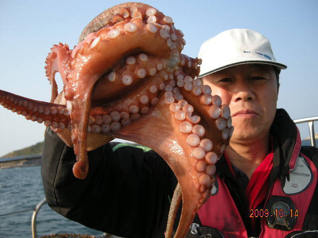 서해피싱호 이미지