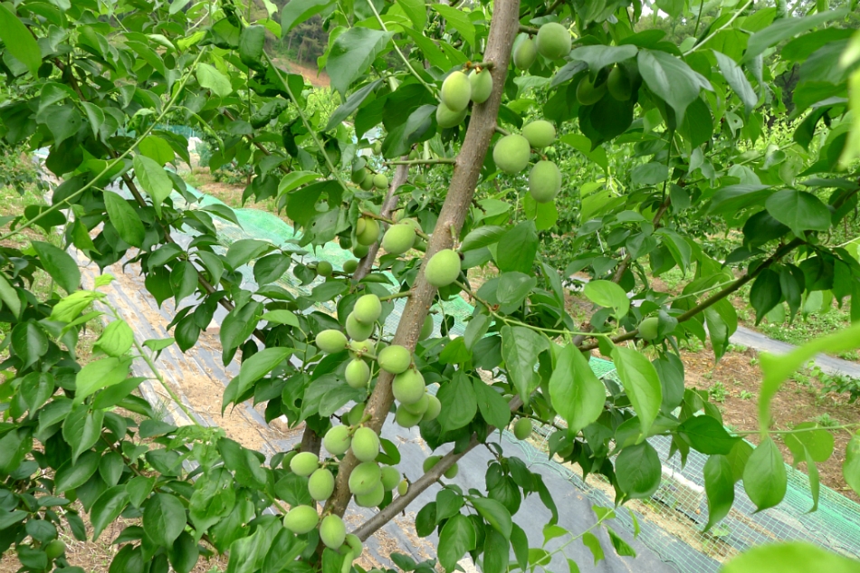 (주)이슬환경 이미지