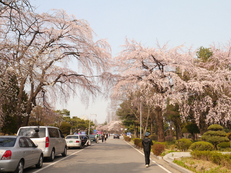 설울 이미지