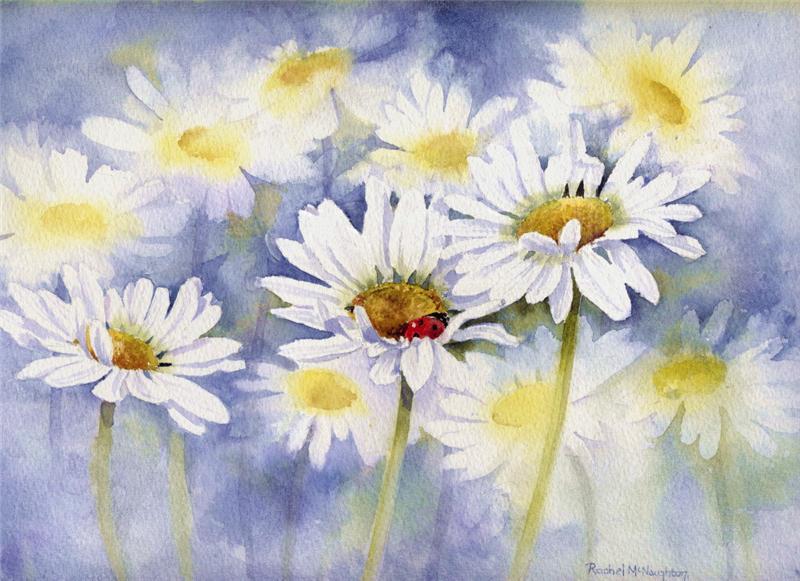 데이지(daisy) 이미지