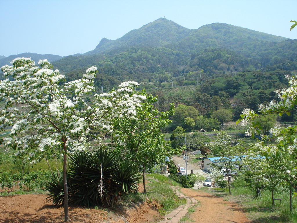 산길 이미지