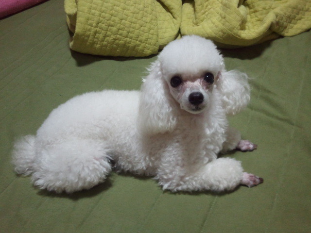 마천시장 이미지