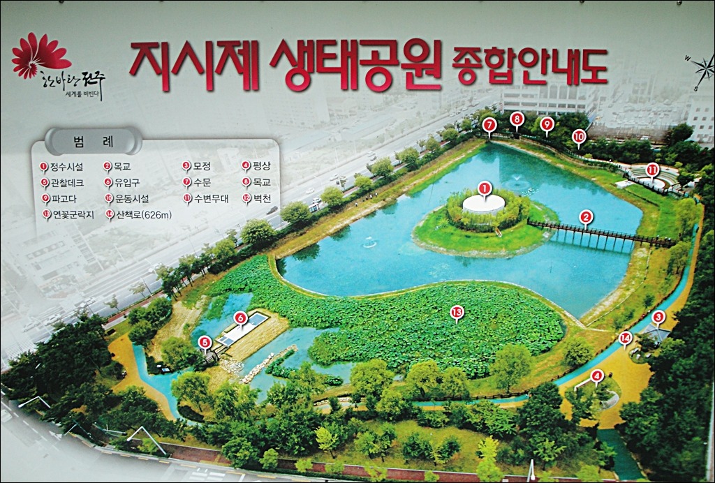 아침연꽃 이미지