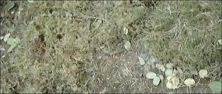 [하이레인] 이게 실화라니...... | 인스티즈