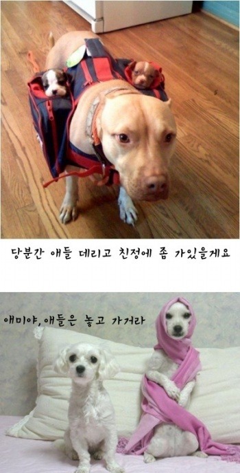 피식 이미지