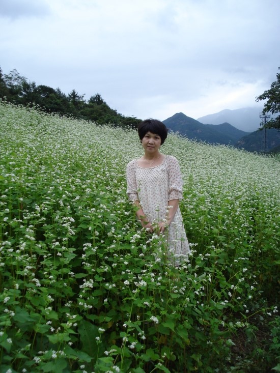 보은꽃 이미지