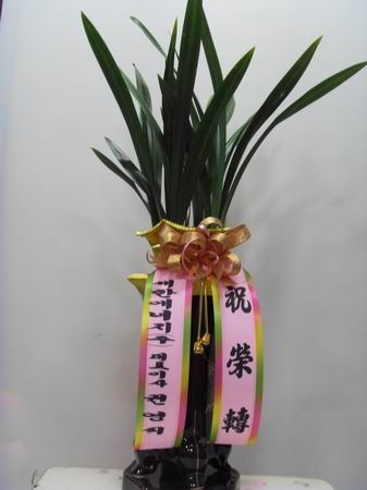 세한에너지(주) 이미지