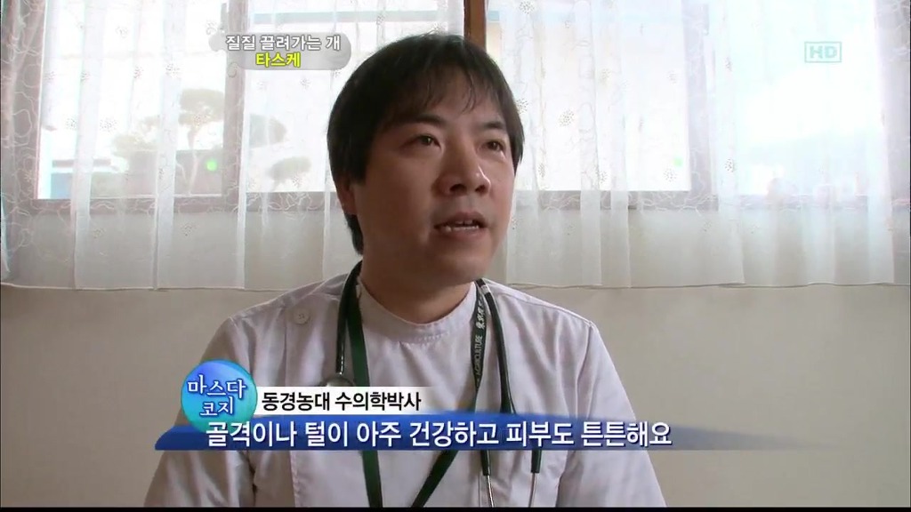[동물농장] 목줄로 질질 끌려다니는 개.JPG | 인스티즈
