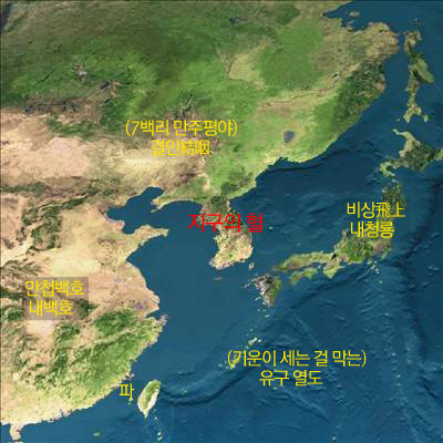 호다실 이미지
