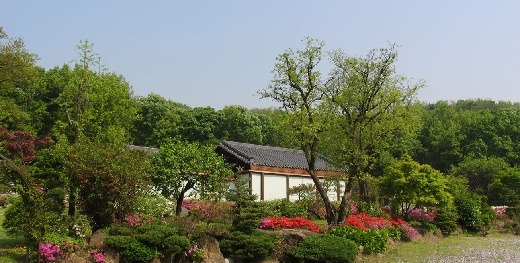 흰돌인터넷 이미지