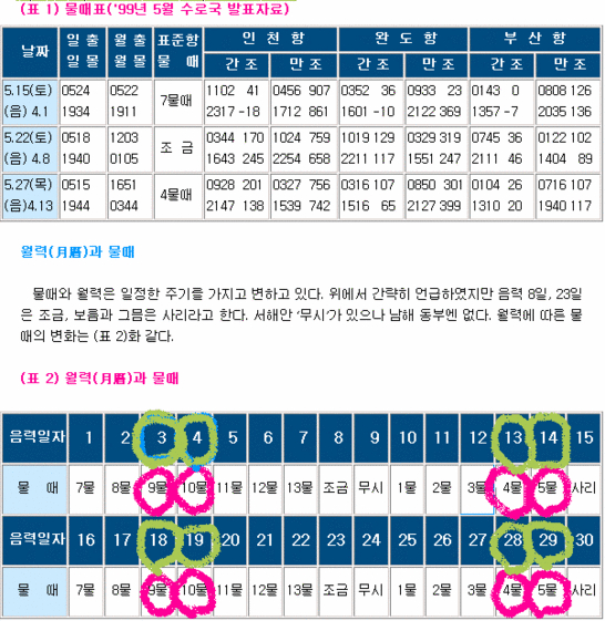 물때따라 이미지