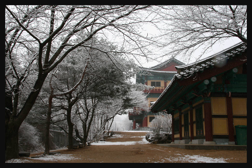 밤마을 이미지