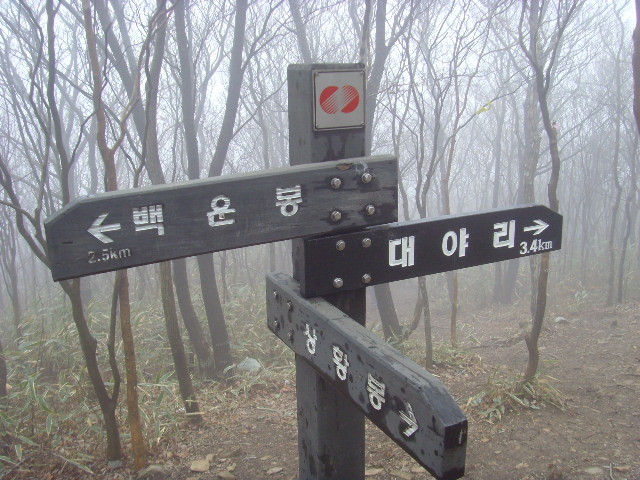 청해진주유소 이미지