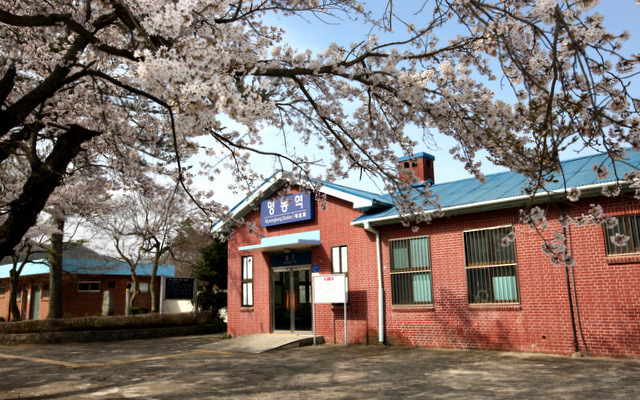 벚꽃역 이미지