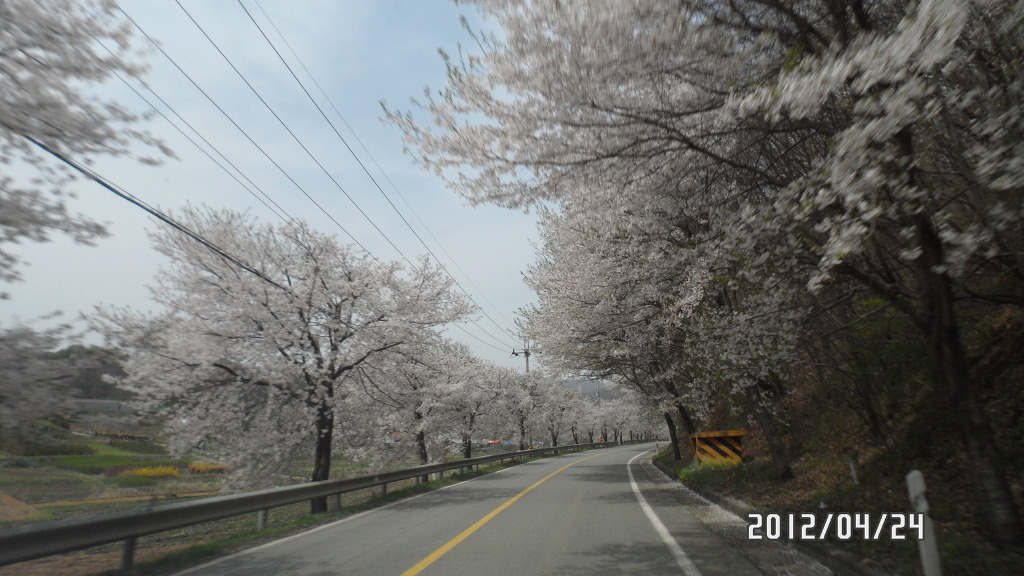 병천순대국 이미지