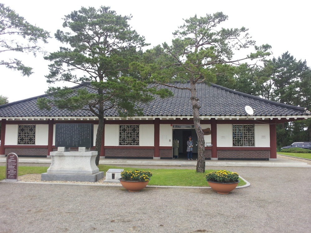 상록수 이미지