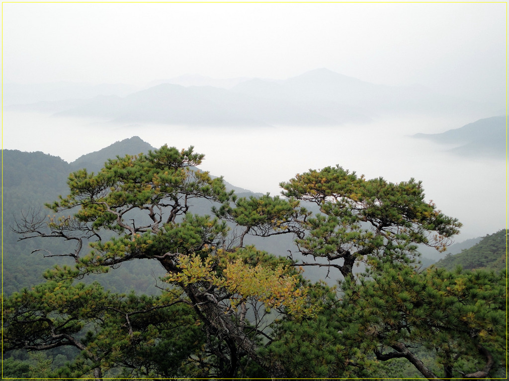 매봉산장 이미지
