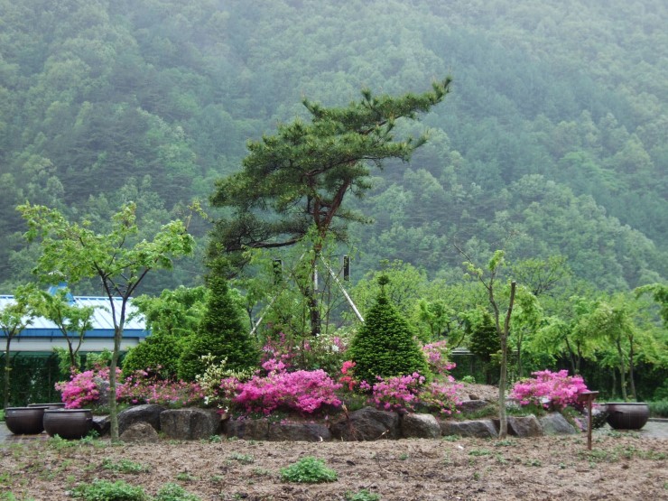 두산마을 이미지
