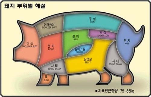고기류 이미지