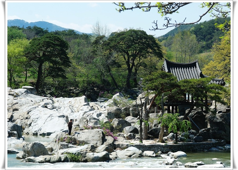 화림 이미지