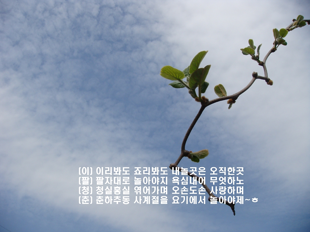 이팔청춘 이미지