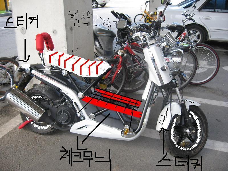 비본 이미지