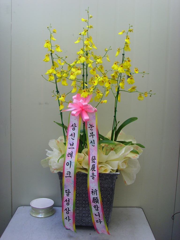 상신상사 이미지