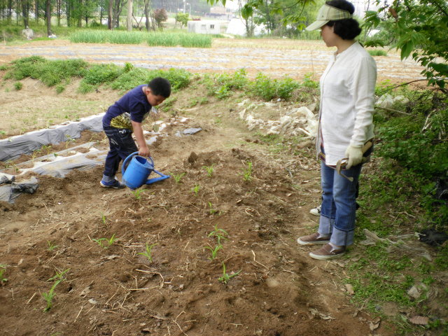 호매실초등학교 이미지