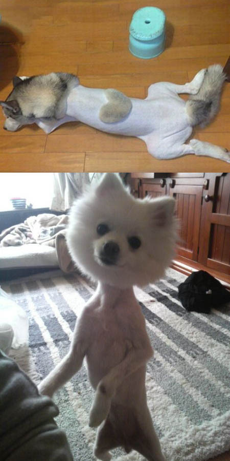 이뿌지요 이미지