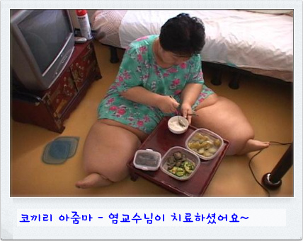 코끼리아줌마 이미지