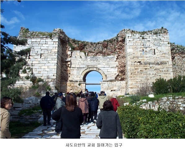 상상진화 이미지