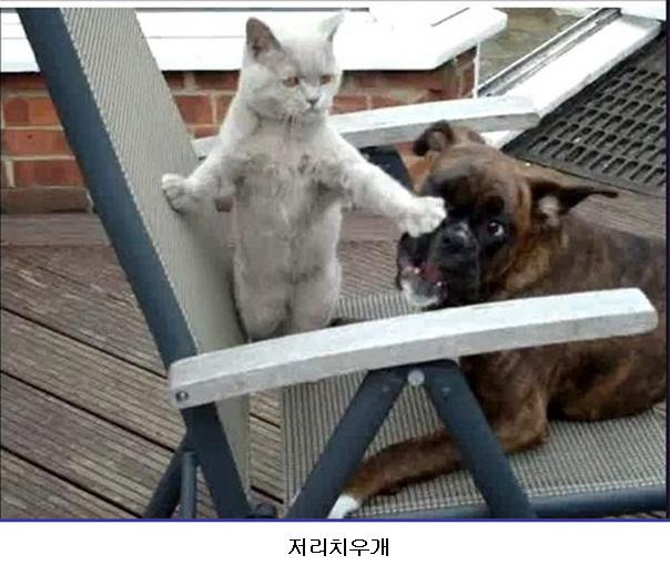 복 이미지