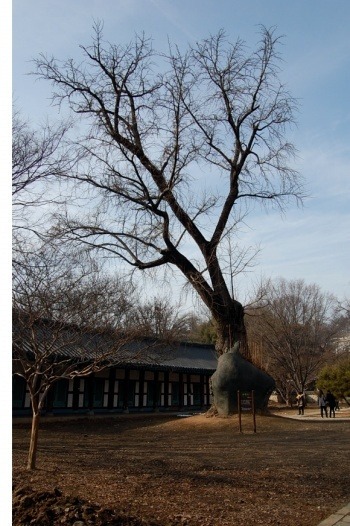은영식품 이미지