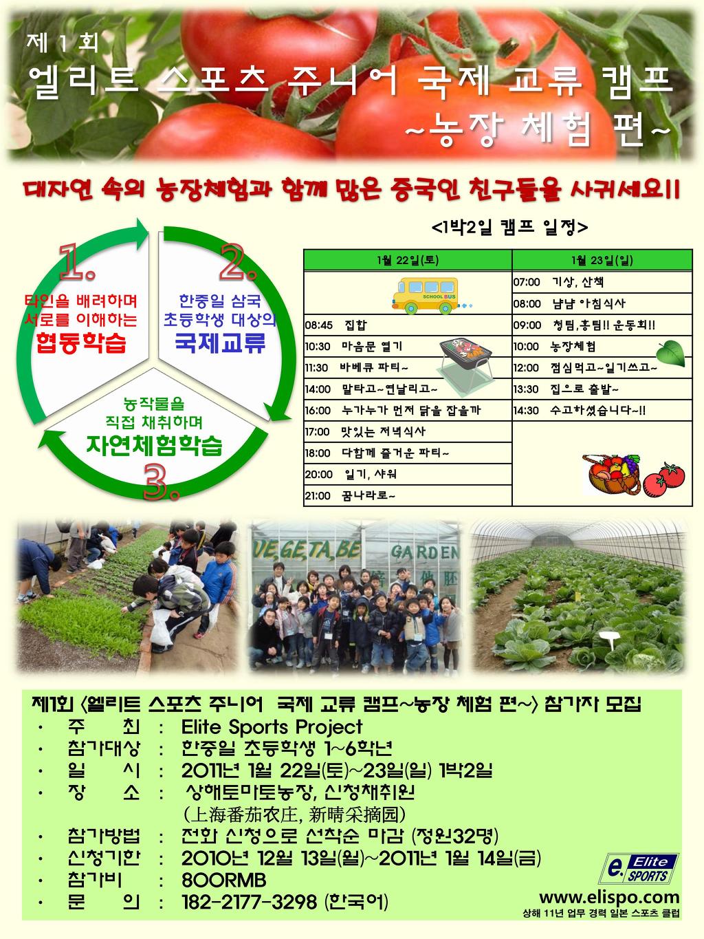 엘리트스포츠 이미지