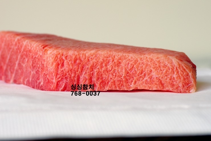 싱싱참치 이미지