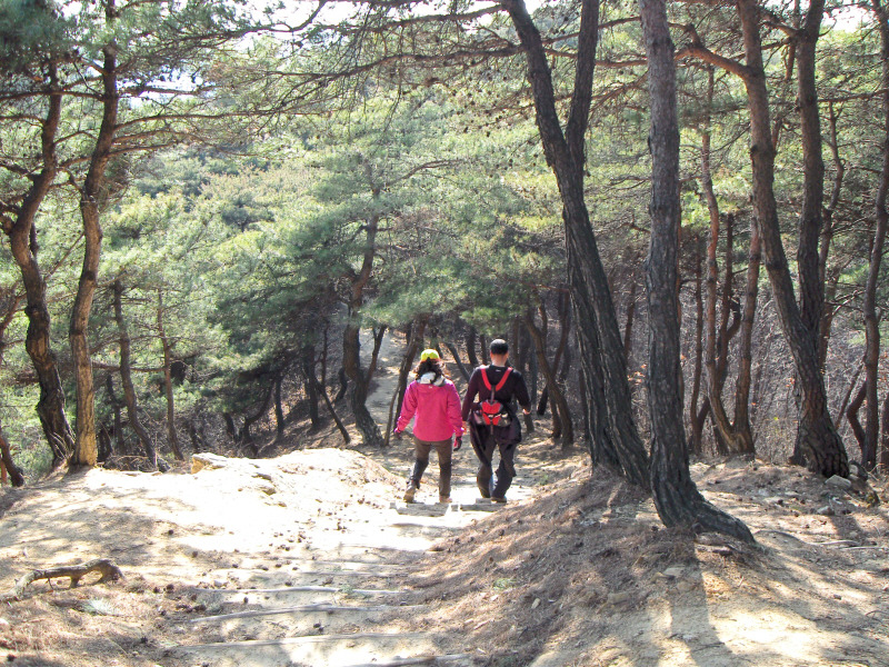 돈달산 이미지