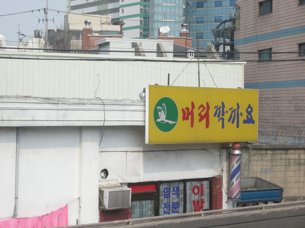 깍까머리 이미지