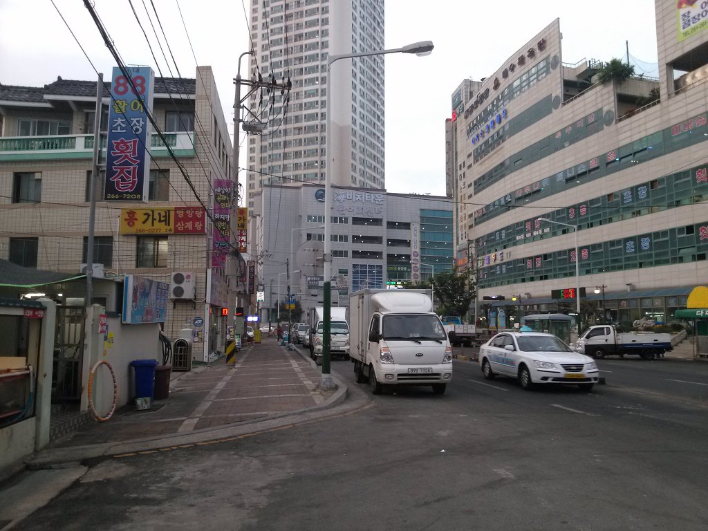 팔팔활어 이미지