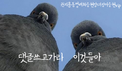 빅뱅PC방 이미지