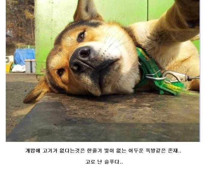 셀카 이미지