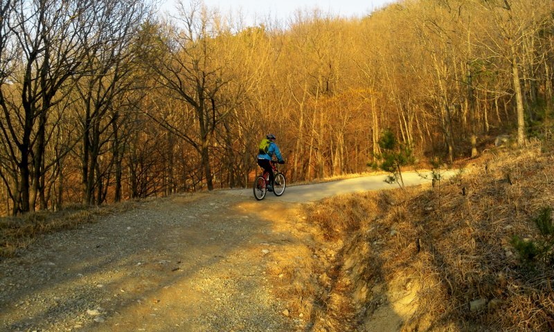 일MTB 이미지