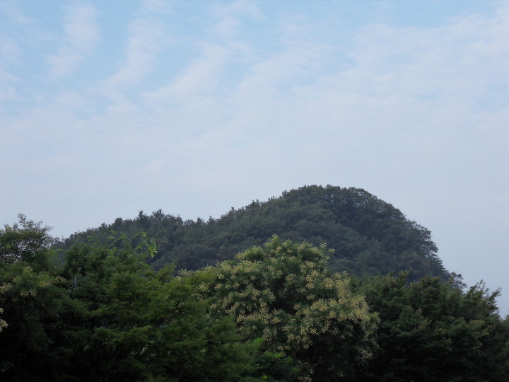 16036A224A9314EE253CB1