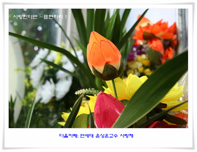하나로플라워 이미지