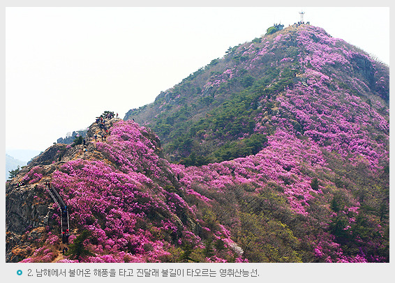 계룡초등학교 이미지
