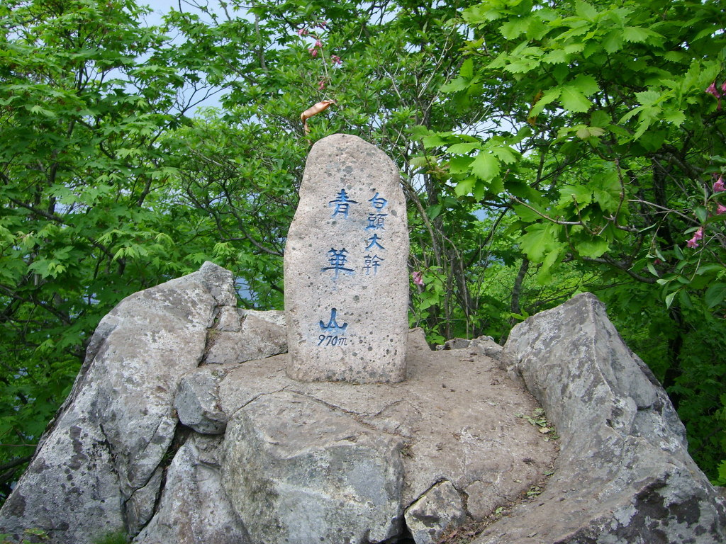 속리산토종닭 이미지