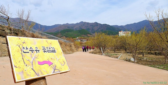 알라딘주유소 이미지